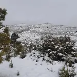 Amanece Monegrillo