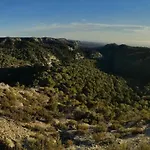 Amanece *