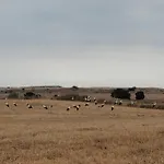 Amanece * Monegrillo