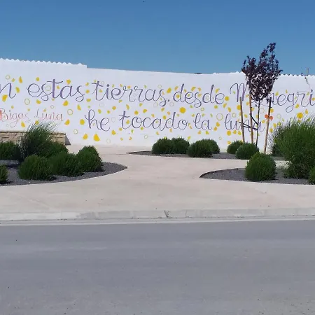 Amanece * Monegrillo