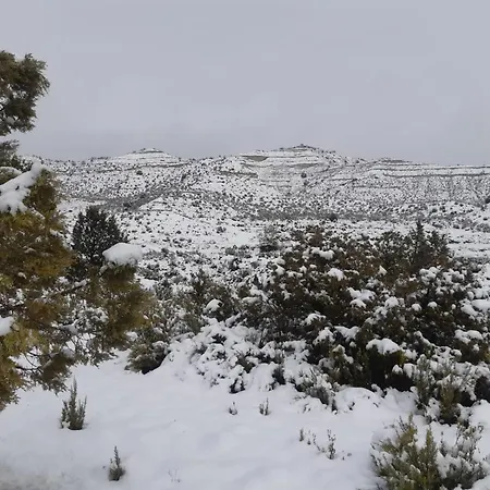Amanece Monegrillo
