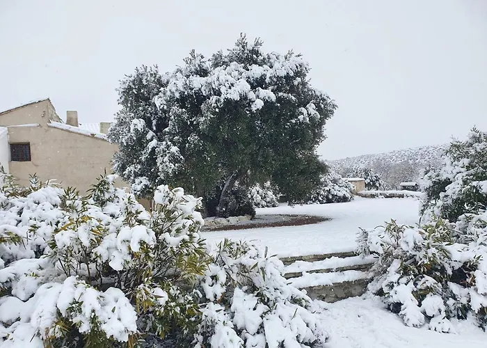 Lägenhet Amanece Monegrillo